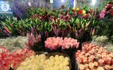 Chợ hoa Quảng Bá sôi động trước ngày Quốc tế Phụ nữ 8-3